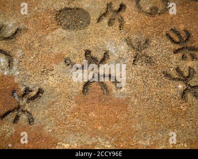 Âge de pierre nuragique vieux pétroglyphes écrits rutiques à l'intérieur de Sea Oxen Grottes Sardaigne Italie Banque D'Images