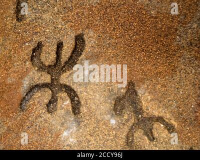 Âge de pierre nuragique vieux pétroglyphes écrits rutiques à l'intérieur de Sea Oxen Grottes Sardaigne Italie Banque D'Images