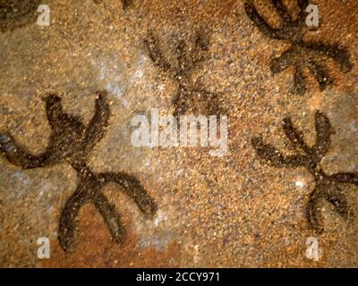 Âge de pierre nuragique vieux pétroglyphes écrits rutiques à l'intérieur de Sea Oxen Grottes Sardaigne Italie Banque D'Images