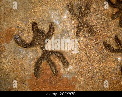 Âge de pierre nuragique vieux pétroglyphes écrits rutiques à l'intérieur de Sea Oxen Grottes Sardaigne Italie Banque D'Images