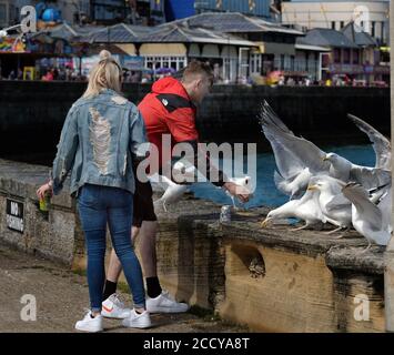 Couple attrapé par des mouettes sur le front de mer. Banque D'Images