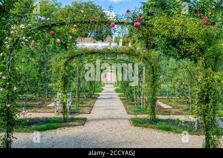 Jardin de roses dans le jardin Albert Kahn - Boulogne-Billancourt - France Banque D'Images