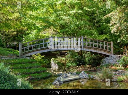 Pont japonais en bois dans le jardin Albert Kahn - Boulogne-Billancourt - France Banque D'Images