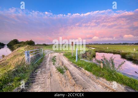 Coucher de soleil rose sur la réserve naturelle néerlandaise Onlanden à Drenthe, pays-Bas Banque D'Images