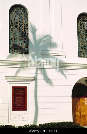 Bermudes. Hamilton. Façade de l'église méthodiste Wesley à l'ombre du palmier à noix de coco. Banque D'Images