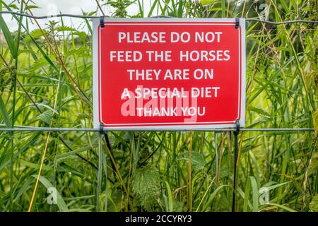 Veuillez ne pas nourrir les chevaux Banque D'Images