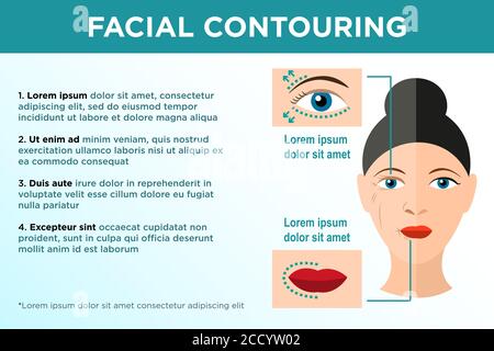 Modèle de vecteur de contour facial de l'affiche d'information Illustration de Vecteur