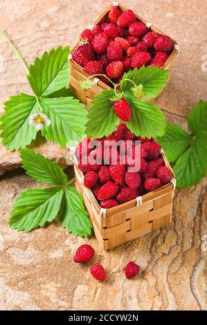 Fraises dans des paniers sur une pierre Banque D'Images