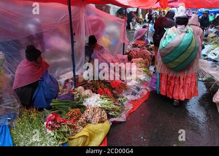 Bolivie la Paz - marché Rodriguez - légumes Mercado Rodriguez cale Banque D'Images