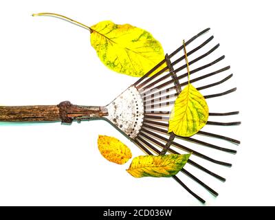 Ventilateur de fer pour le nettoyage des feuilles outils à main. Banque D'Images