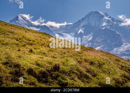Alpage alpine en premier plan et sommet enneigé de la montagne Mönch en arrière-plan dans les Alpes bernoises - région de Jungfrau - Suisse. Banque D'Images