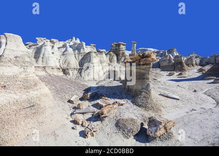 Région sauvage de Bisti de na Zin, près de Farmington, Nouveau-Mexique. Banque D'Images