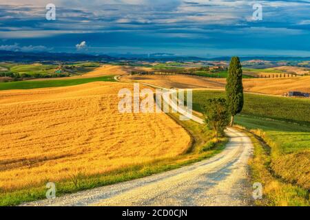 les champs d'été avec un ciel orageux dans la distance à Ville de Corsano la crète senesi paysage près de Sienne (Italie) Banque D'Images