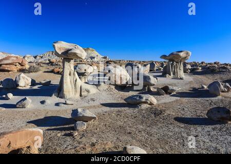 Région sauvage de Bisti de na Zin, près de Farmington, Nouveau-Mexique. Banque D'Images