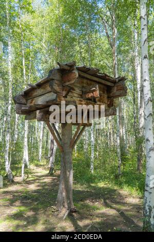 maison en bois sur des jambes élevées dans une forêt de bouleau. hutte debout sur des pattes de poulet. Maison en bois Fairy grand-mère Yaga. Banque D'Images