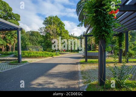 Batumi, Géorgie - 08 août 2020 : magnifique vue sur le jardin botanique de Batumi, Adjara Banque D'Images