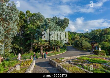 Batumi, Géorgie - 08 août 2020 : magnifique vue sur le jardin botanique de Batumi, Adjara Banque D'Images