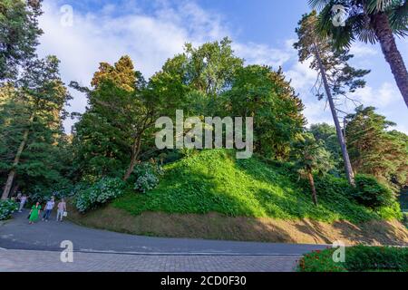 Batumi, Géorgie - 08 août 2020 : magnifique vue sur le jardin botanique de Batumi, Adjara Banque D'Images