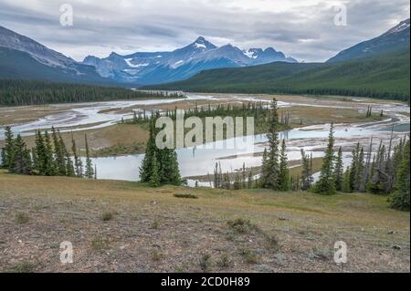 Point de vue au-dessus de la rivière Howse dans le parc national Banff, Alberta, Canada Banque D'Images