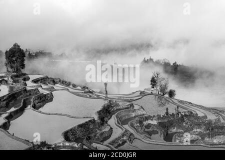 Lever du soleil et brouillard sur les terrasses de riz de Yuanyang, province sud du Yunnan, Chine. En hiver, les terrasses sont inondées, donnant de belles réflexions dans le wate Banque D'Images