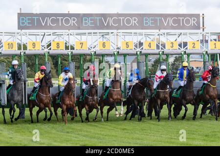 Listowel, Irlande, 9 septembre 2019 : courses de chevaux et de jockeys hors de la porte de départ sur la piste de course. Banque D'Images