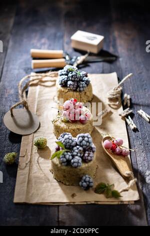 Muffins aux flocons d'avoine avec fruits.délicieux petit déjeuner.nourriture et boisson peu grasse.dessert sucré. Banque D'Images