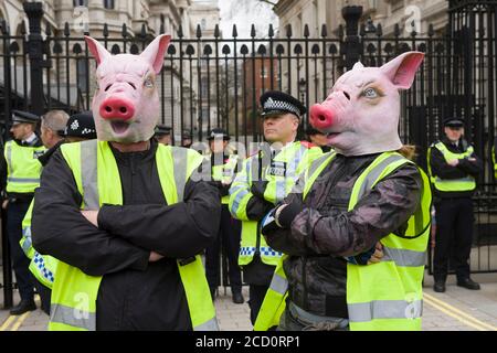 Les manifestants portant des masques de cochon debout dans la ligne de police devant Downing Street la protestation réclamaient la démission du Premier ministre David Cameron, au vu du fait qu'il avait des fonds en fiducie offshore, Blairmore Holdings, une société basée à Panama, fondée par son défunt père Ian, avant de les vendre en 2010. Les organisateurs de la manifestation ont déclaré que les révélations dans les documents de Panama soulevait des questions sur l'engagement de M. Cameron à lutter contre l'évasion fiscale. M. Cameron a nié tout acte répréhensible, mais a admis qu'il aurait pu mieux gérer la ligne de l'impôt. Downing Street, Whitehall, Londres, Royaume-Uni. 9 avril 2016 Banque D'Images