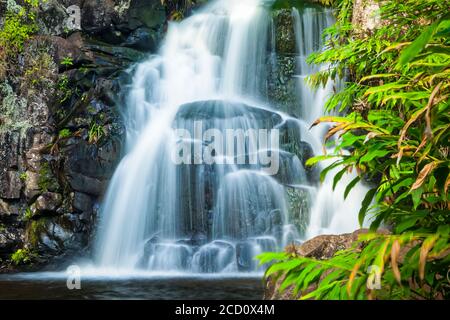 Waipo'o Falls descendant jusqu'à la piscine, parc national de Waimea Canyon ; Kauai, Hawaii, États-Unis d'Amérique Banque D'Images