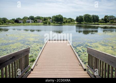 Jetée dans le lac d'eau douce avec la verdure indigène sous un ciel bleu avec des nuages à Aurora, Illinois Banque D'Images