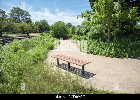 Le banc de parc le long d'un trottoir piétonnier avec une végétation luxuriante sous un ciel bleu avec des nuages à Aurora, Illinois Banque D'Images