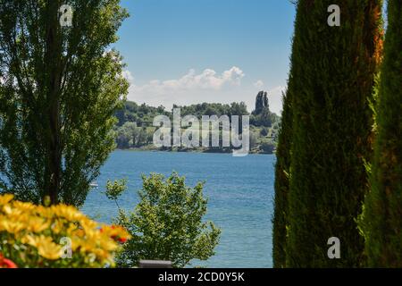 Entre les arbres, vous pourrez apercevoir le lac de Constance. Vous pouvez également voir un bateau à moteur. Banque D'Images