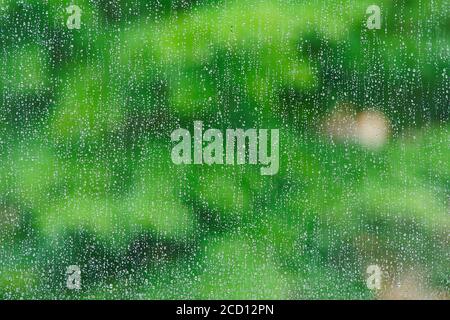 Montréal,Québec,Canada,le 25 août 2020.gros plan des gouttes de pluie sur la fenêtre.crédit:Mario Beauregard/Alamy News Banque D'Images