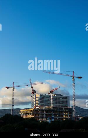 Chantier de construction avec quatre grues, espace de copie pour le texte Banque D'Images