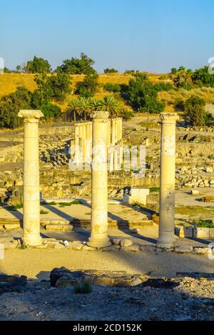 Vue sur les vestiges de l'ancienne ville romano-byzantine de Bet Shean (Nysa-Scythopolis), aujourd'hui un parc national. Nord d'Israël Banque D'Images