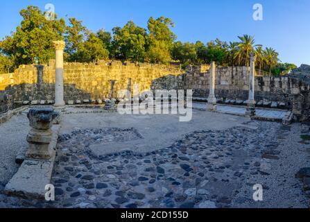 Vue sur les vestiges de la latrine publique, dans l'ancienne ville romano-byzantine de Bet Shean (Nysa-Scythopolis), aujourd'hui un parc national. Nord d'Israël Banque D'Images