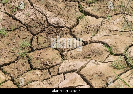 La croûte du sol de champ formée de limon se craque avec manque d'eau.Pour la sécheresse, la pénurie d'eau, la science du sol, la mécanique du sol, le sol abstrait,changement climatique. Banque D'Images