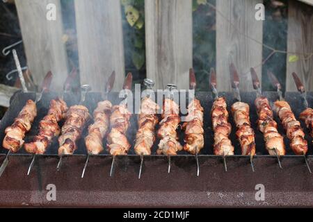 Photo d'un délicieux barbecue sur les brochettes frites un brazier Banque D'Images