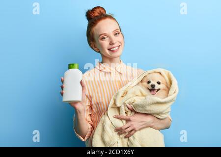 charmant propriétaire d'animal de compagnie attrayant annonçant efficace shampooing tout en se tenant sur fond bleu, studio tourné, beauté, passe-temps, temps libre, temps libre, cloo Banque D'Images