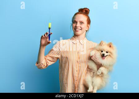 drôle sourire excité vétérinaire aller donner l'injection à l'animal, isolé fond bleu, studio shot. test sanguin. Banque D'Images