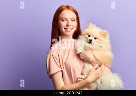 bonne joyeuse belle fille tenant un chien avec une brosse à dents sur ses dents. portrait de gros plan, arrière-plan bleu isolé, prise de vue en studio, soins des dents, guérir Banque D'Images