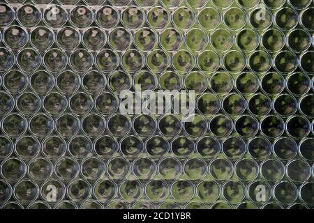 Gros plan de Mosaïque de verres verts ronds Banque D'Images