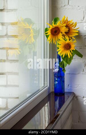 Bouquet de tournesols fleuris dans vase en verre bleu sur seuil de fenêtre, mise au point sélective Banque D'Images