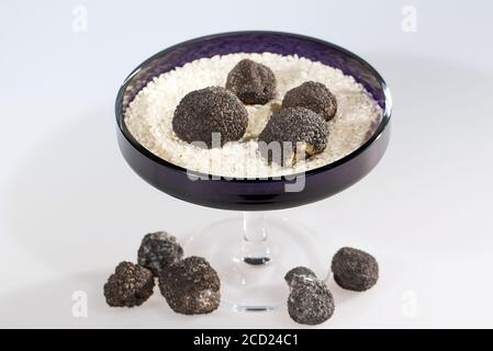 Truffes noires du riz sur un fond blanc. Banque D'Images