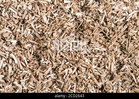 Morceaux de bois élément fumeurs puce donnant la saveur et le goût de nombreux éléments tendance beige naturel. Banque D'Images