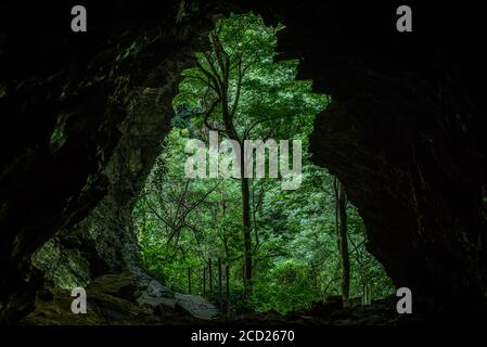 Sortie de la grande grotte karst. La nature du parc national de Sotchi des arbres de buis. La montagne d'émeraude dans le Caucase. Banque D'Images