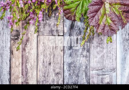 ClOUDBERRY feuilles et fleur de bruyère ou Calluna vulgaris sur un arrière-plan en bois Banque D'Images