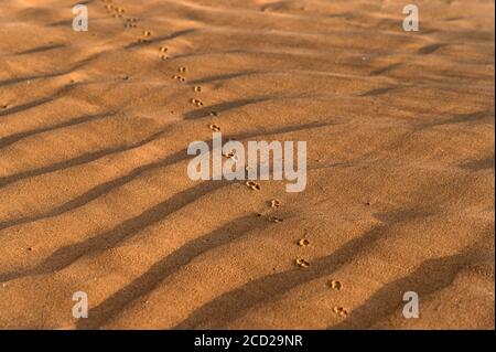 Close up image de sable magnifique texture background Banque D'Images