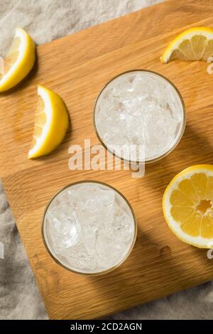 Eau gazeuse saine et rafraîchissante au citron avec glaçons Banque D'Images