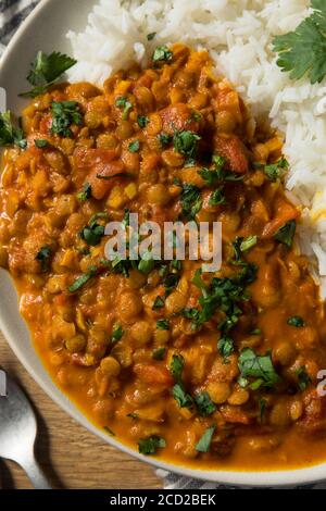 Lentilles de curry indiennes épicées maison avec riz et coriandre Banque D'Images