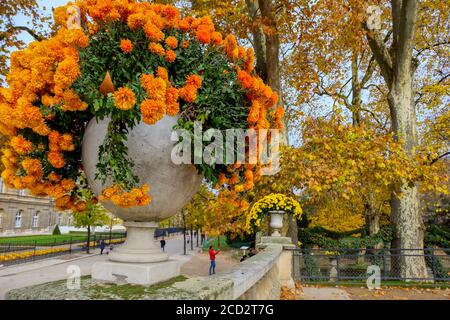 Paris, France - novembre 2017 : automne dans les jardins de Luxembourg à Paris. France Banque D'Images